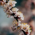 Breaking the Seasonal Allergy Cycle