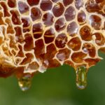 The Healing Power of Honey