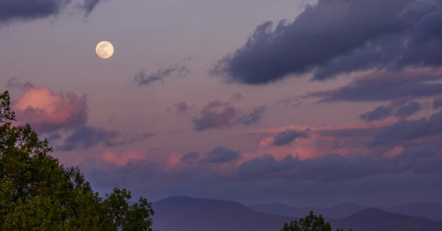 Under the Light of the Full Flower Moon