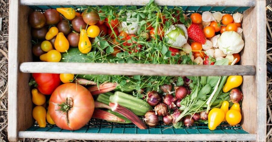 Reconnecting to Nature Through Food