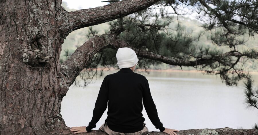 Travel the World Inside