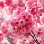 Discovering Your Life’s Purpose Through Intuition