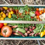 Late Summer: The Season of Nurturing and Transformation