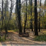 Life Lesson: Embracing Change